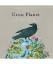 Haupt, Lyanda Lynn: Crow Planet: Essenti