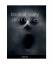 gebrauchtes Buch – Daniel Meng – book of scary short stories – Bild 1