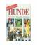 Rino Falappi: Hunde