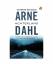 Arne Dahl: Achterland (Rainbow pocketboe Arne Dahl: Achterland (Rainbow pocketboe