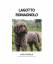 Emilia Mäkelä: Lagotto Romagnolo