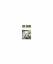 Martin Walser (Text + Kritik) Martin Walser (Text + Kritik)