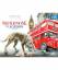 gebrauchtes Buch – Swantje Kammerecker – Supernose in London: Englische Ausgabe / Duftbuch (Baeschlin Duftbilderbuch) – Bild 1