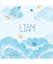 Family Babybücher: Liam Babyalbum: Babyb