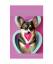 gebrauchtes Buch – Walter the Educator – The Little Poetry Book about Loving Pembroke Welsh Corgis – Bild 1