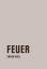 Chaim Noll: Feuer :Roman.