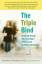 Stephen Hinshaw: The Triple Bind / Savin