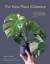 Darryl Cheng: New Plant Collector / The 