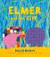 David McKee: Elmer and the Gift