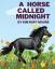 Kim Ruff-Moore: A Horse Called Midnight 