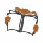 Schacter, Daniel L.: Psychology