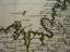 antiquarisches Buch – Jaillot Alexis Hubert – Brittany-Bretagne, Sanson-Jaillot,anno 1696, map – Bild 9