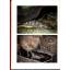gebrauchtes Buch – Hans-Joachim Herrmann – Amphibien im Aquarium – Bild 4