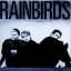 rainbirds: rainbirds