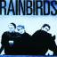 rainbirds: rainbirds