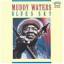 muddy waters: blues sky