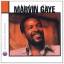 marvin gaye: the best of -anthology-