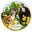 mozart festival orch: symphony no.40