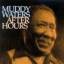 muddy waters: after hours