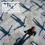 muse: absolution