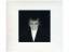 peter gabriel: shaking the tree -sixteen peter gabriel: shaking the tree -sixteen