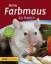 Melanie Teubler: Meine Farbmaus zu Hause