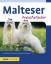 Juliette Cunliffe: Malteser Juliette Cun