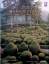 Sander, Eric (photographs): Marqueyssac: Sander, Eric (photographs): Marqueyssac: