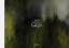 Ulrike Crespo : Twilight Ulrike Crespo : Twilight