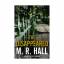 neues Buch – M.R. Hall – The Disappeared – Bild 1