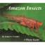 James L. Castner: Amazon Insects: A Phot