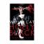 Holly Black: The White Cat