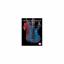 Des Pres, Josquin: Classical Masterpiece Des Pres, Josquin: Classical Masterpiece