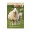 Sue Weaver: Sheep Small Scale Sheep Keep