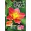 Robert Shapiro: Plant Souls Speak: Heali