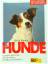 Ulrich Klever: Hunde. Experten- Rat für 