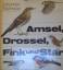 Amsel, Drossel, Fink und Star Ein Frühli