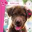 Cute and Cuddly: Puppy Love / Marine Gui