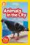 Elizabeth Carney: Animals in the City (N