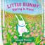 Deborah Marcero: Little Bunny, Spring Is