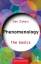 Dan Zahavi: Phenomenology: The Basics / 