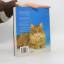 gebrauchtes Buch – Beate Felten Leidel – Enzyklopädie der Katzen – Bild 2