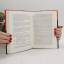 gebrauchtes Buch – Julia Sobieszek – Zum Lachen in den Keller – Bild 3
