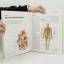 gebrauchtes Buch – Joachim Lauen – Der grosse Atlas der Anatomie – Bild 3