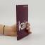 Gottfried Kapp: Kain