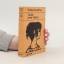 Katherine Allfrey: Taube unter Falken Katherine Allfrey: Taube unter Falken