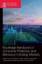 Tina Soliman Hunter: Routledge Handbook 