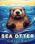 Lisa Krza Bb: Sea Otter Coloring Book