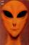 Whitley Strieber: Die Besucher: Eine wah