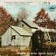 Merle Travis: Merle Travis - Back Home -